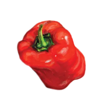 Paprika
